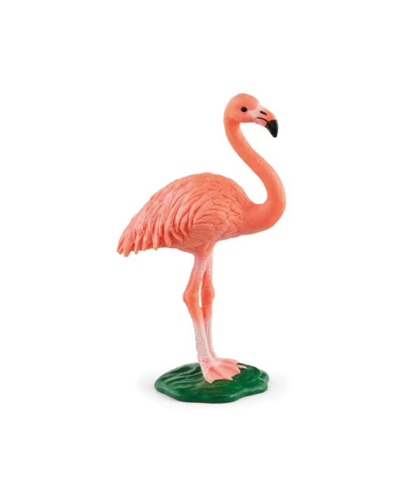 WILD LIFE - FLAMANT ROSE