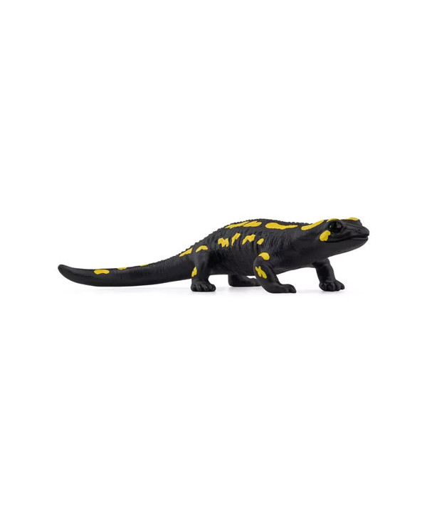 WILD LIFE - SALAMANDRE DE FEU