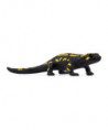 WILD LIFE - SALAMANDRE DE FEU