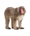 WILD LIFE - MACAQUE JAPONAIS