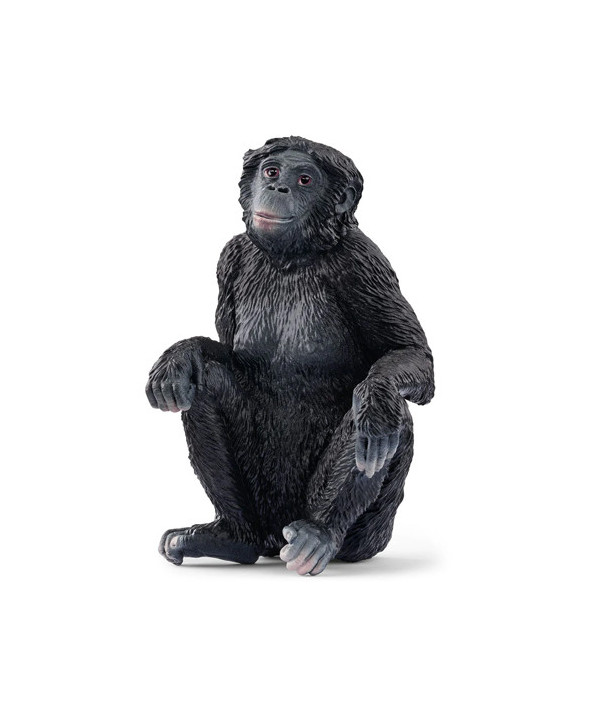 WILD LIFE - BONOBO FEMELLE