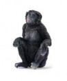 WILD LIFE - BONOBO FEMELLE
