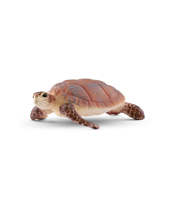 WILD LIFE - TORTUE MARINE À BEC COURT
