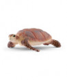 WILD LIFE - TORTUE MARINE À BEC COURT