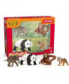 WILD LIFE - WILD LIFE ASIE STARTER-SET