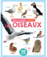 MON IMAGIER SONORE - MON IMAGIER SONORE - LES OISEAUX