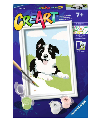 CREART - BORDER COLLIE