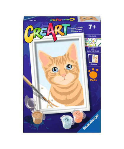 CREART - ORANGE TABBY
