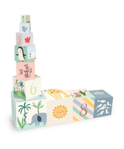 CUBES GIGOGNES ANIMAUX DU MONDE - SARAH BETZ