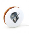 YOYO TRICÉRATOPS - MUSÉUM NATIONAL D'HISTOIRE NATUREL