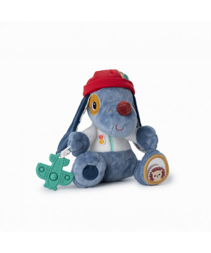 JULES CHIEN MULTI-ACTIVITES