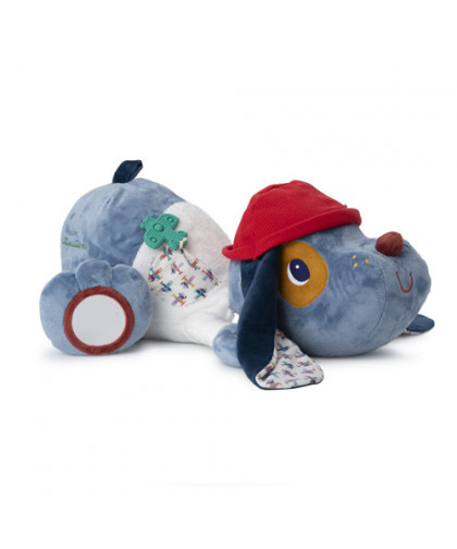 JULES GRAND CHIEN D'ACTIVITES A POCHES