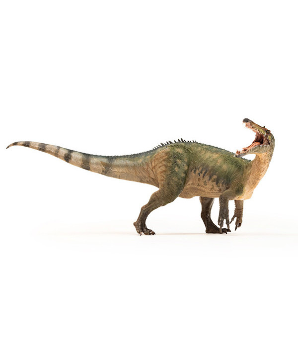 SUCHOMICUS