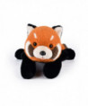 Sierra le panda roux