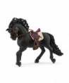 Etalon Pure race espagnole