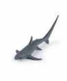 Requin renard
