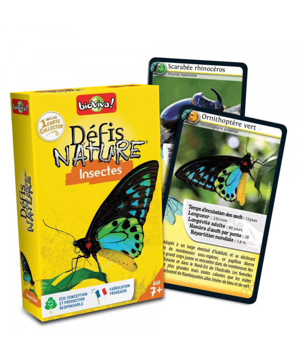 DÉFIS NATURE - INSECTES