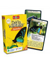 DÉFIS NATURE - INSECTES