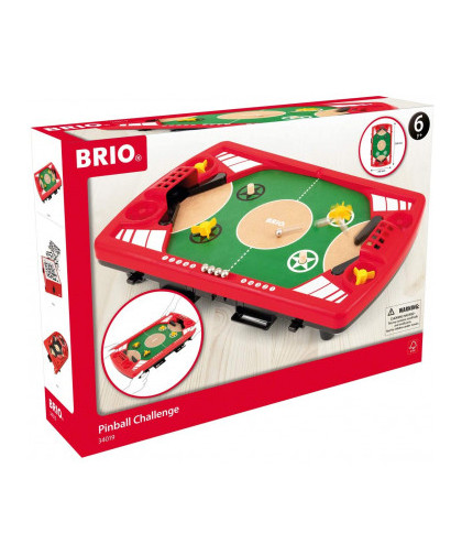 FLIPPER DUO CHALLENGE