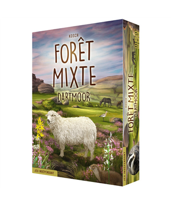FORÊT MIXTE - DARTMOOR