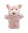 PUPPET BUDDIES - COCHON