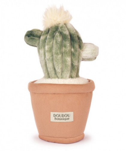 DOUDOU BOTANIC - CACTUS