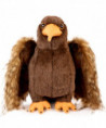 AIGLE