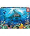 PUZZLE 500 GRAND REQUIN BLANC
