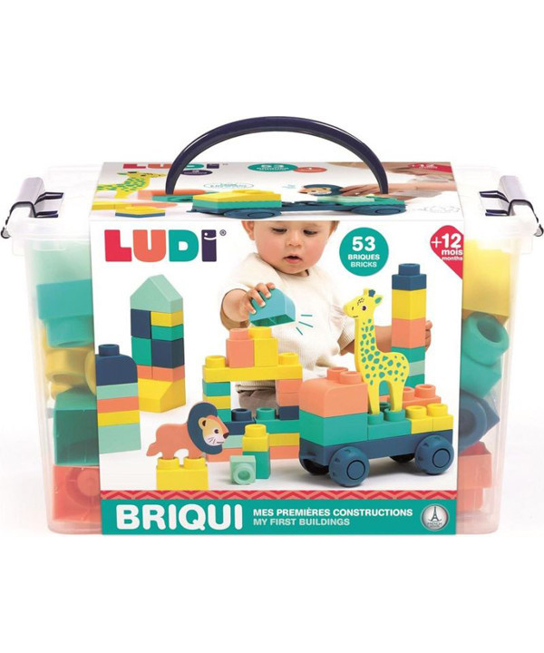 BRIQUI