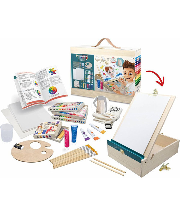PROFESSIONAL STUDIO ATELIER D'ARTISTE