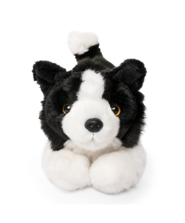 LIVING NATURE DOGS - BORDER COLLIE PLAYFUL PUPPY