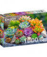 PUZZLE 1000 PCS – SUCCULENTS