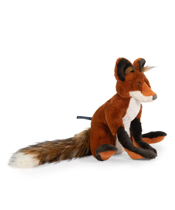 RENARD TOUT AUTOUR DU MONDE