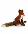 RENARD TOUT AUTOUR DU MONDE