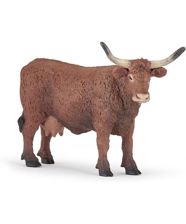 LA FERME - VACHE SALERS
