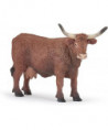 LA FERME - VACHE SALERS