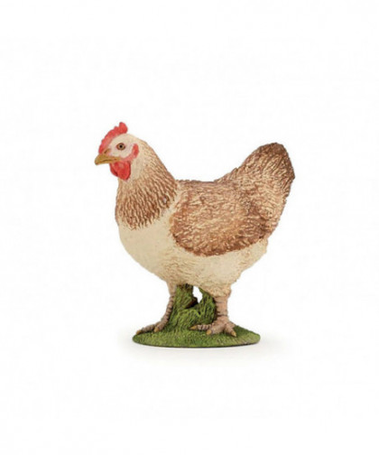 LA FERME - POULE ROUSSE