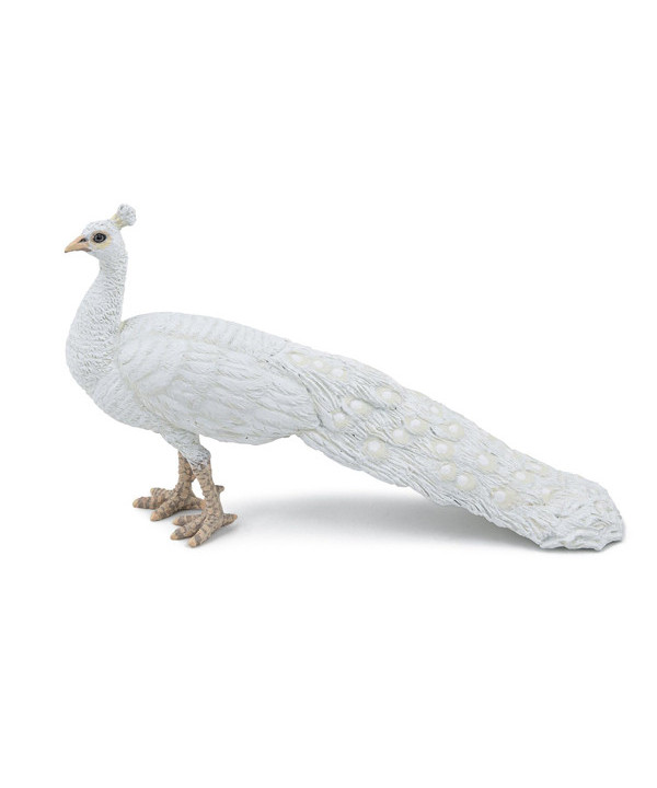 LA FERME - PAON BLANC