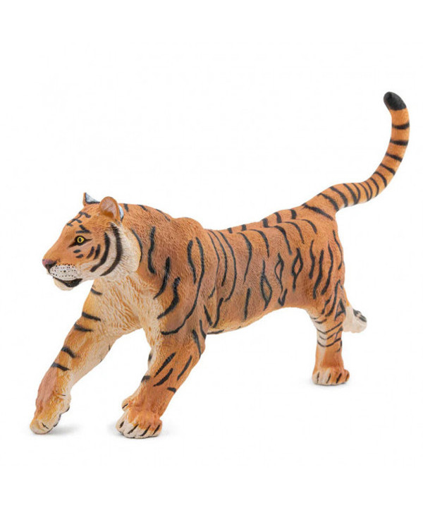 LA VIE SAUVAGE - TIGRE COURANT