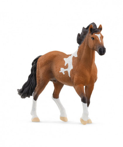 HORSE CLUB - MANGALARGA MARCHADOR ÉTALON