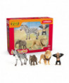 WILD LIFE - WILD LIFE AFRIQUE STARTER-SET