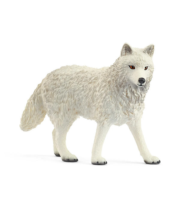 WILD LIFE - LOUP ARCTIQUE
