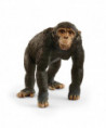 WILD LIFE - CHIMPANZÉ