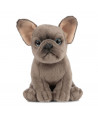 FRENCH BULLDOG PUPPY