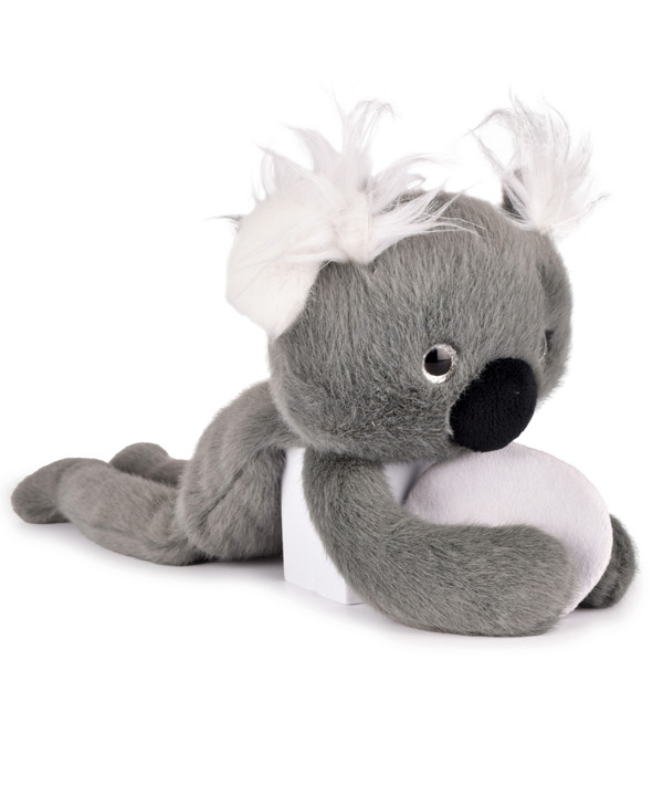 PODCOLL - KOALA - MAGNÉTIQUE