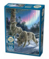 PZL 500 PCS - NORTHERN LIGHTS