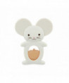 DUO DENTITION & REFRIGERE SOURIS