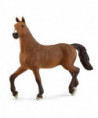 HORSE CLUB - JUMENT OLDENBOURG