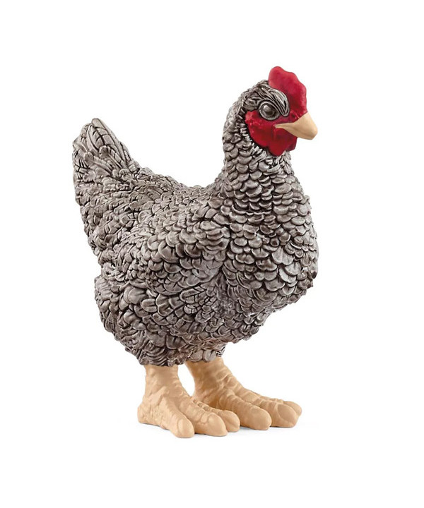 FARM WORLD - POULE PLYMOUTH ROCK
