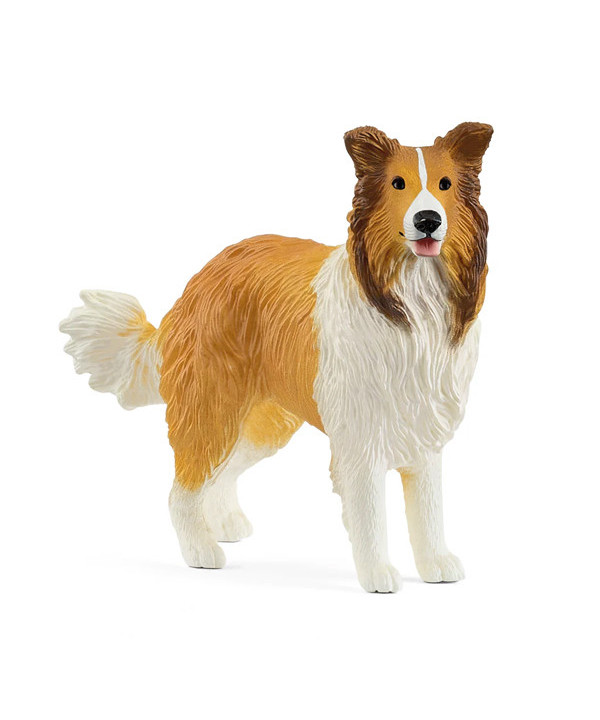 FARM WORLD - CHIEN COLLEY
